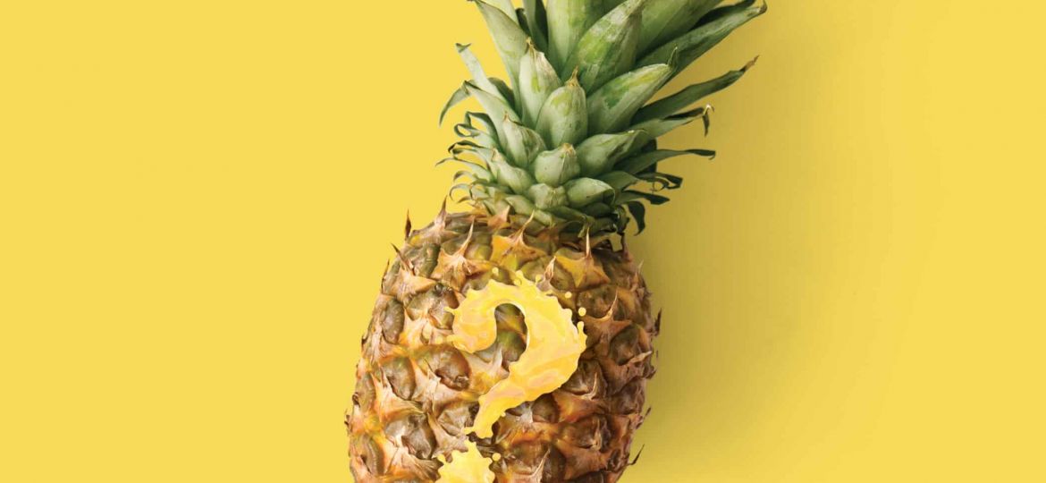 Pineapple Payments Knowledge Center