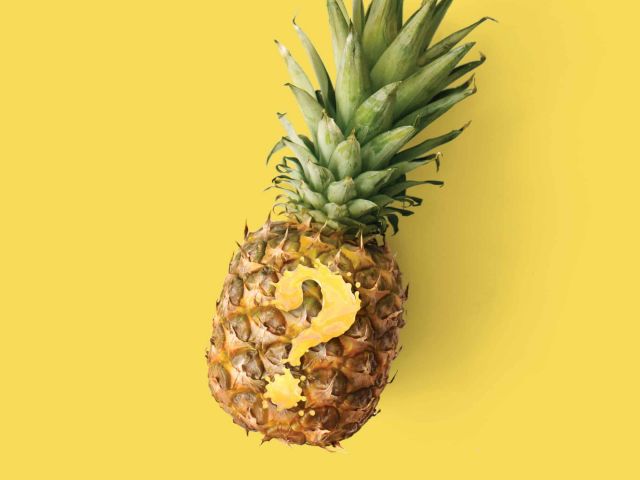 Pineapple Payments Knowledge Center